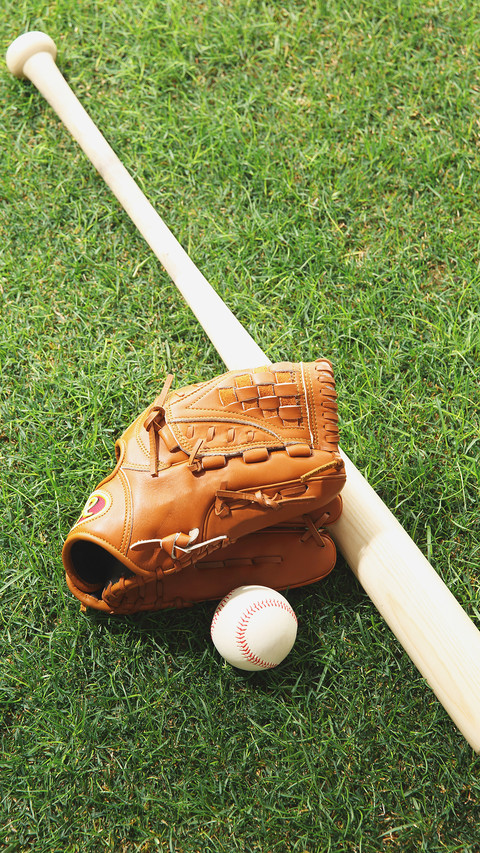 india-baseball screenshot