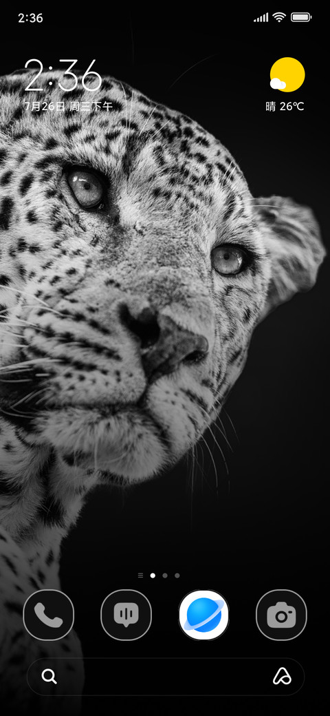 Dark Spottedcat screenshot