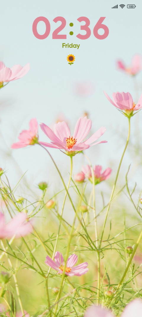 Pink Flower screenshot
