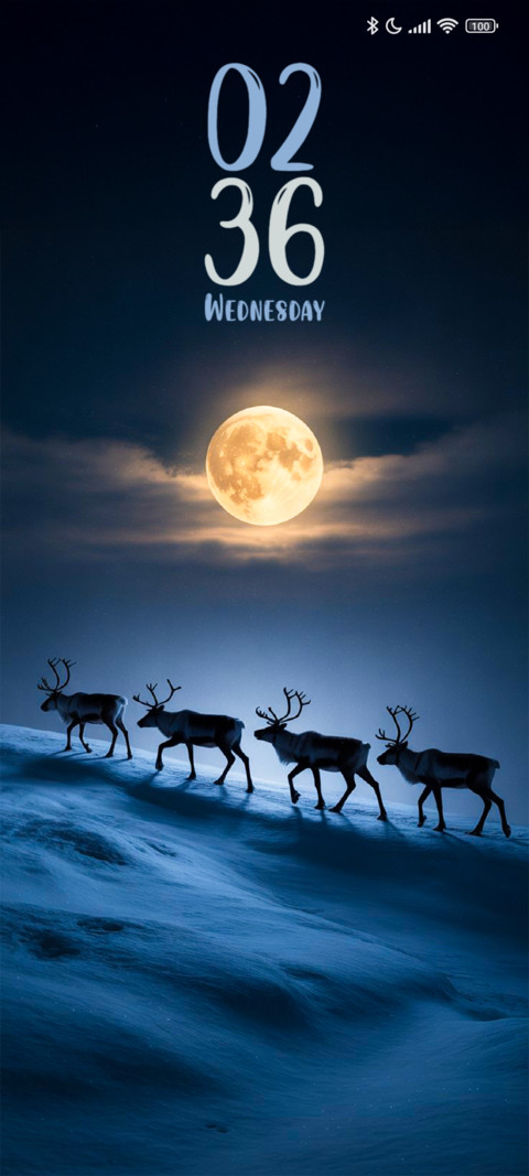 Moonlight Reinders screenshot