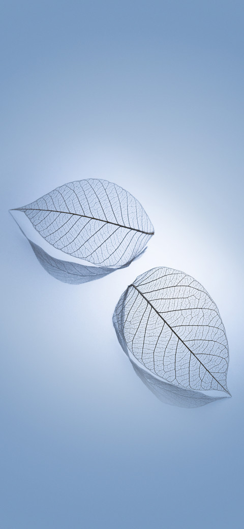 MIUI 10 系统壁纸  screenshot