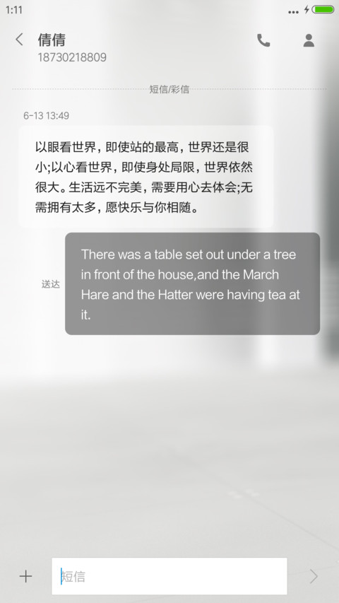 Reflection screenshot