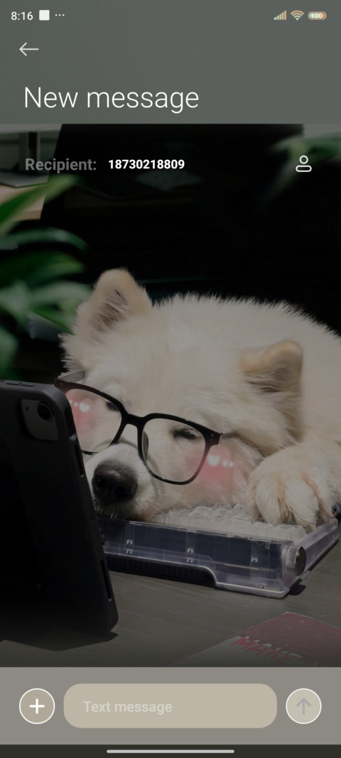Ins is Money dog screenshot