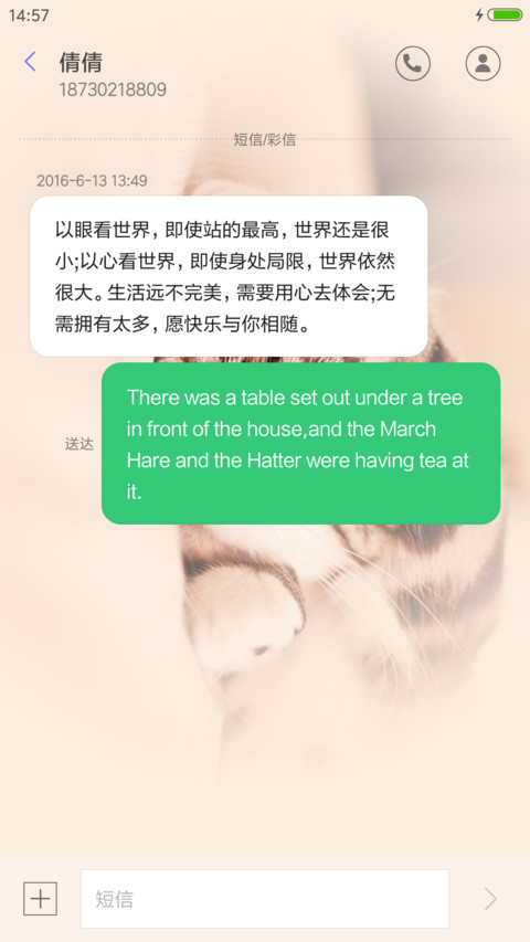 瞧，这萌猫 screenshot