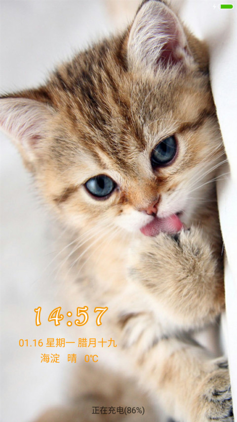 瞧，这萌猫 screenshot