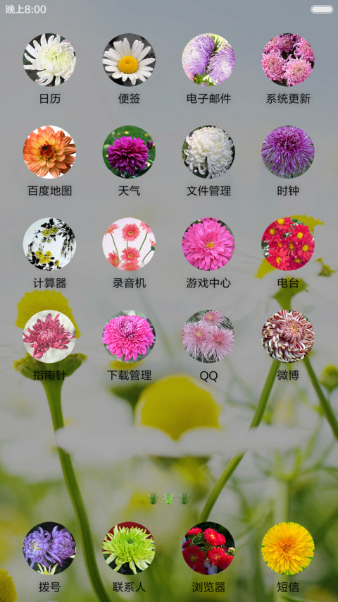 清新菊 screenshot