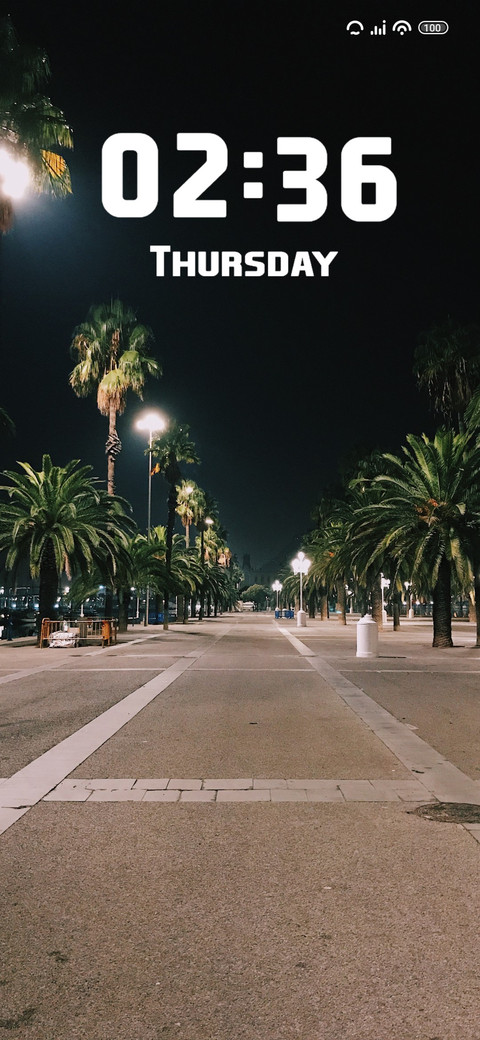 Palm tree screenshot