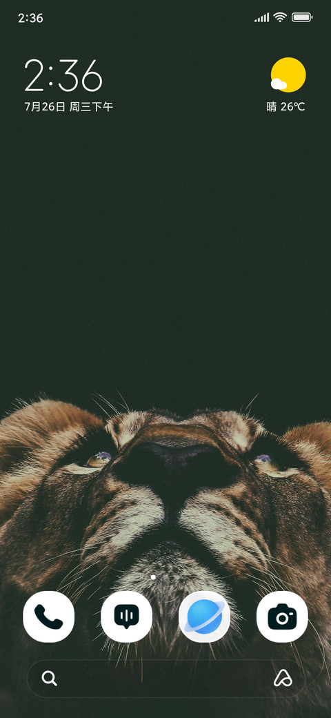 Lion Gaze screenshot