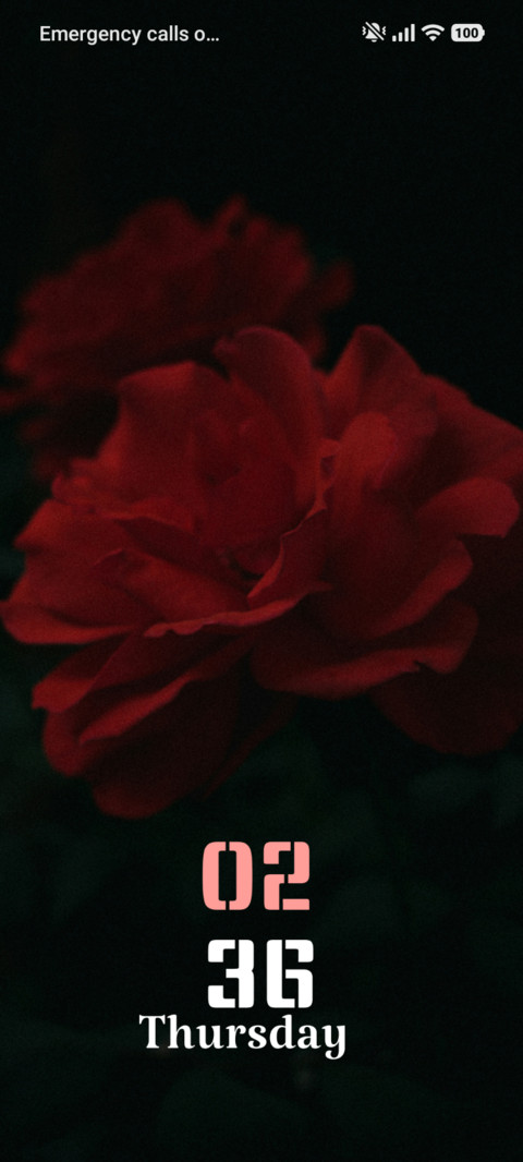 Rose Harmony screenshot