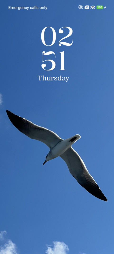 Sky Seagull screenshot