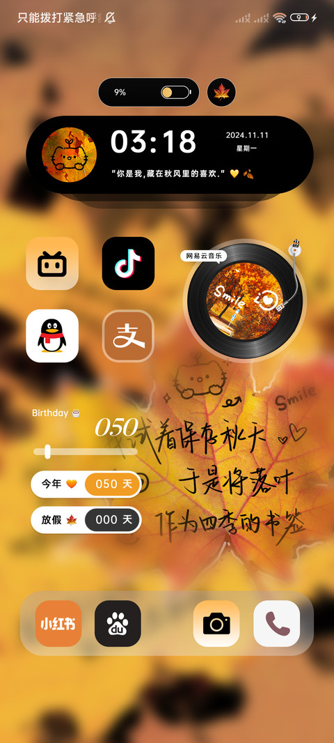 枫叶秋意浓 screenshot