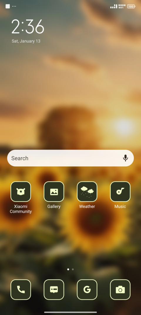 Summer Solstice screenshot