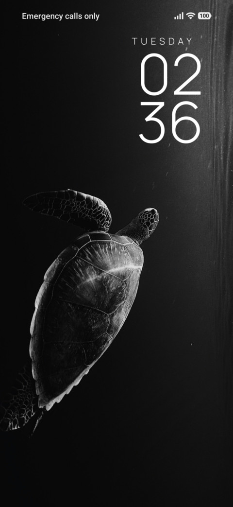 Deep Turtle screenshot