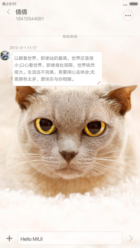 偏爱喵星人【3锁屏+自由桌面+好评返现】 screenshot
