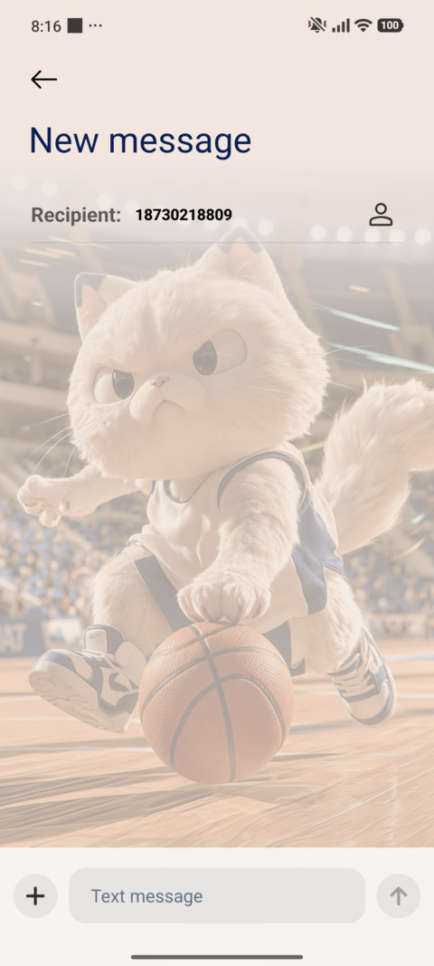 Basketball Cat screenshot