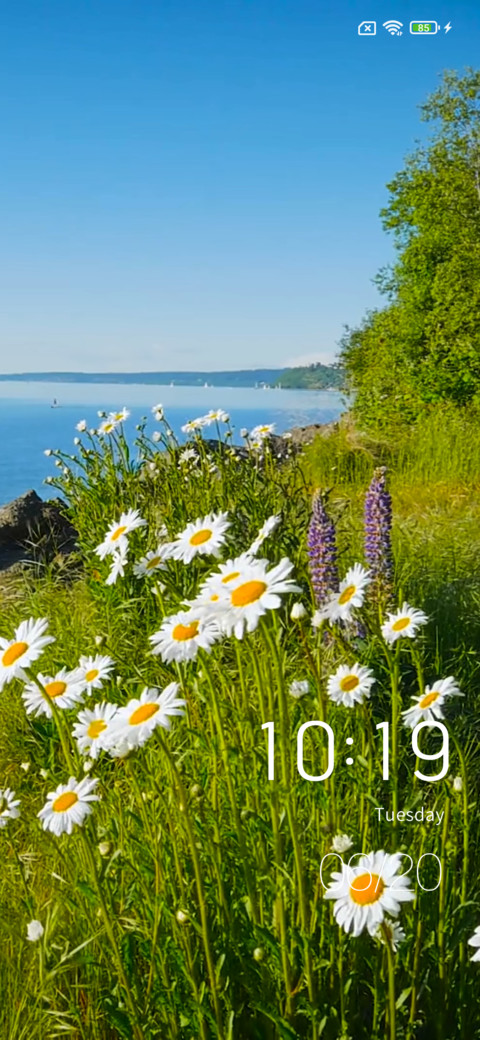 Seaside flower screenshot