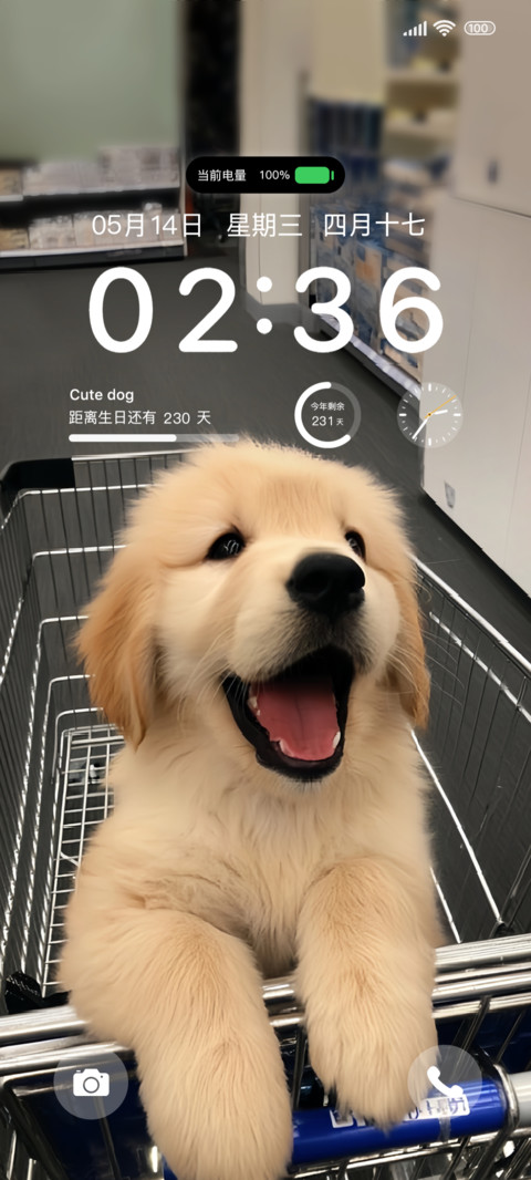 可爱小狗的世界 screenshot