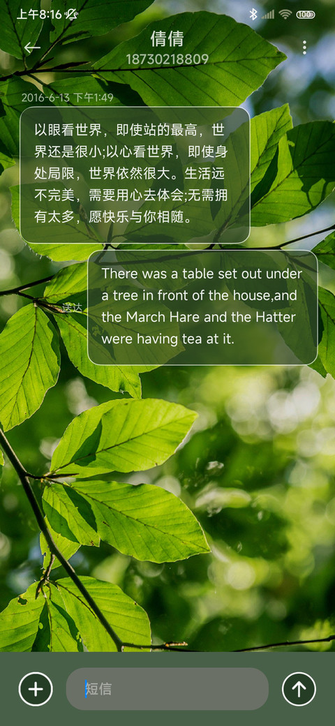 夏日绿荫 screenshot
