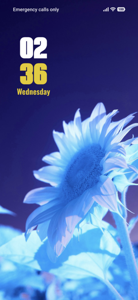 Sunflower screenshot