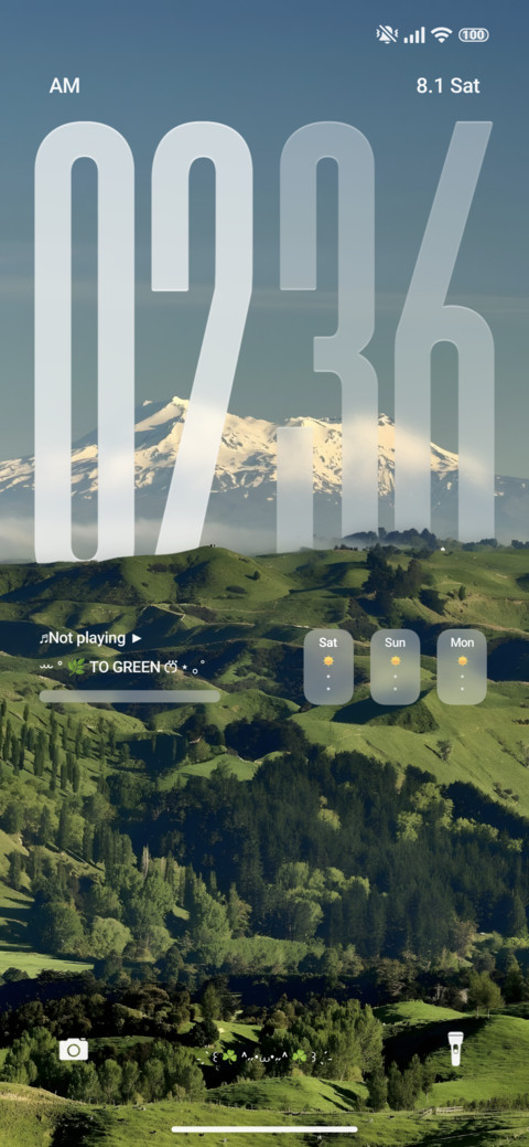 Green screenshot