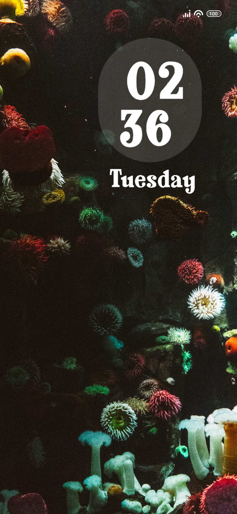Aquarium screenshot
