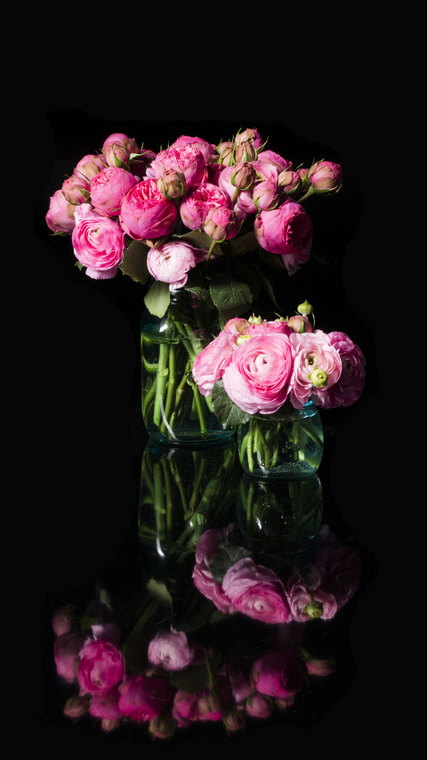 Roses You May Not Know 7 screenshot