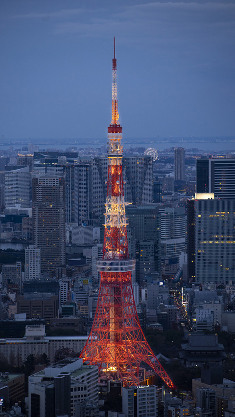 Famous tourist destination Tokyo Tower 8 screenshot