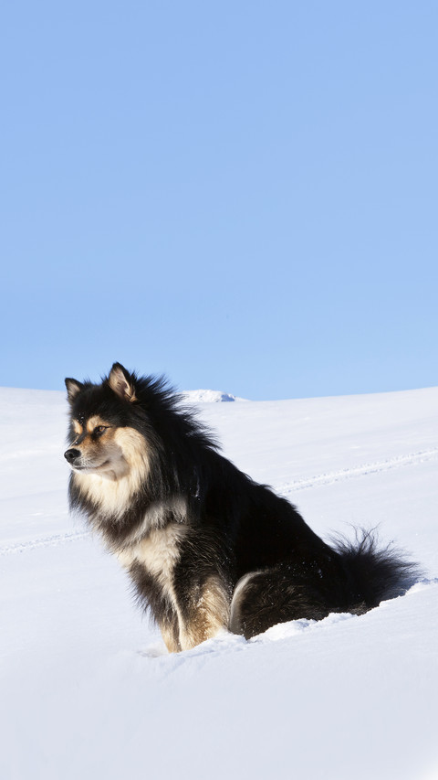 Bright sunshine and cold screenshot