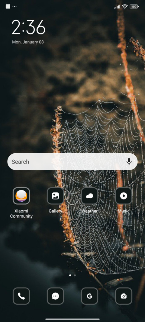 Spider Web screenshot