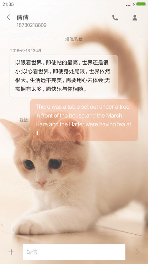 喵星人 screenshot