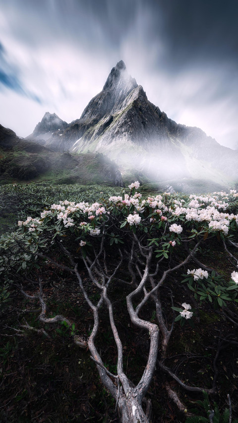 The secret realm of three parallel rivers in western screenshot