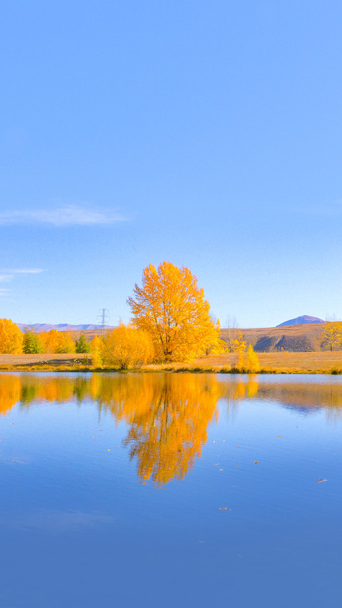 Reflection during Fall Autumn from the lake screenshot