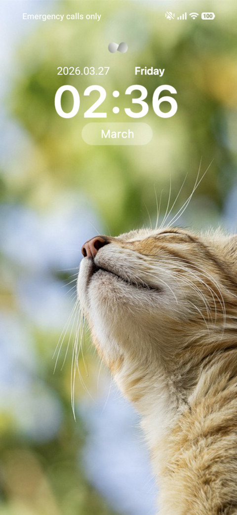Feline Dreams screenshot