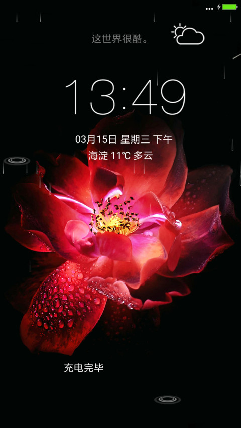 夜玫瑰 screenshot