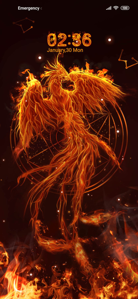 Phoenix in Fire screenshot