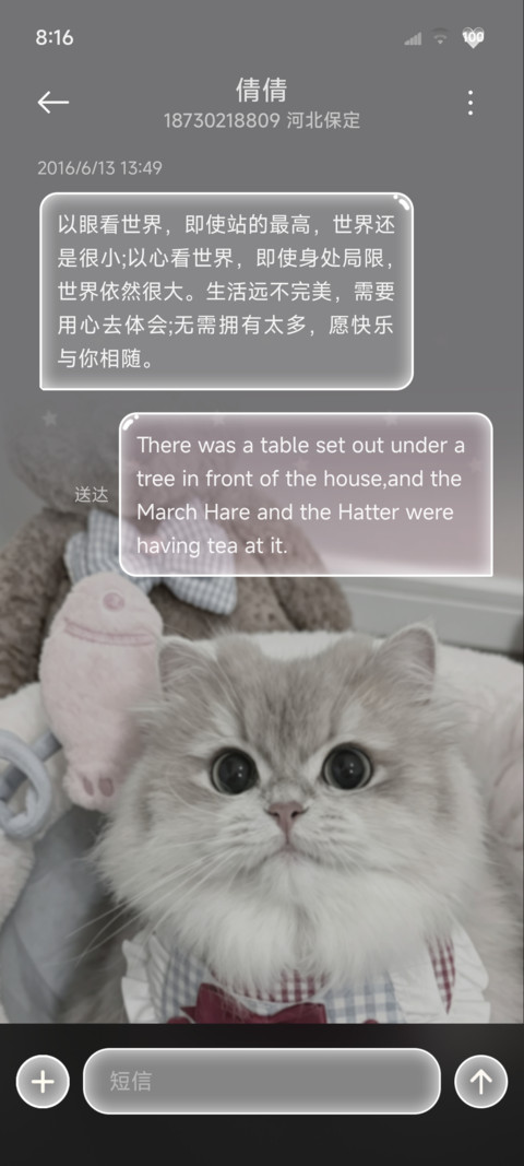 ins重力光栅猫猫 screenshot