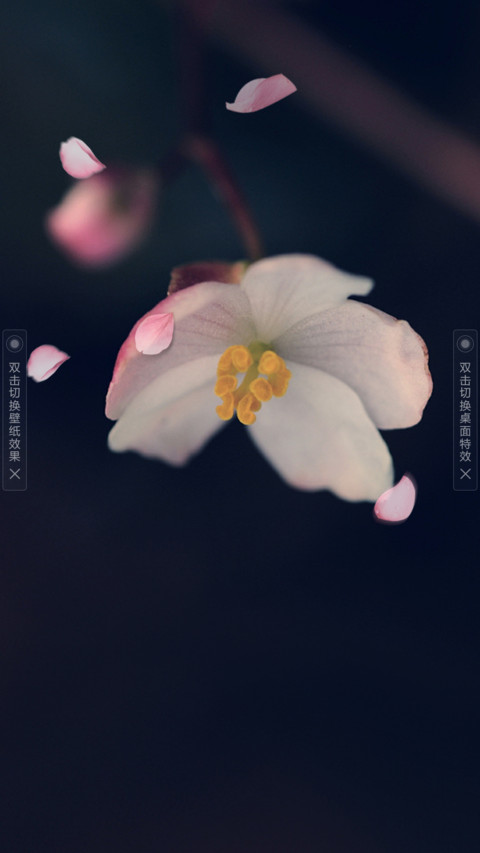 十里红妆 screenshot