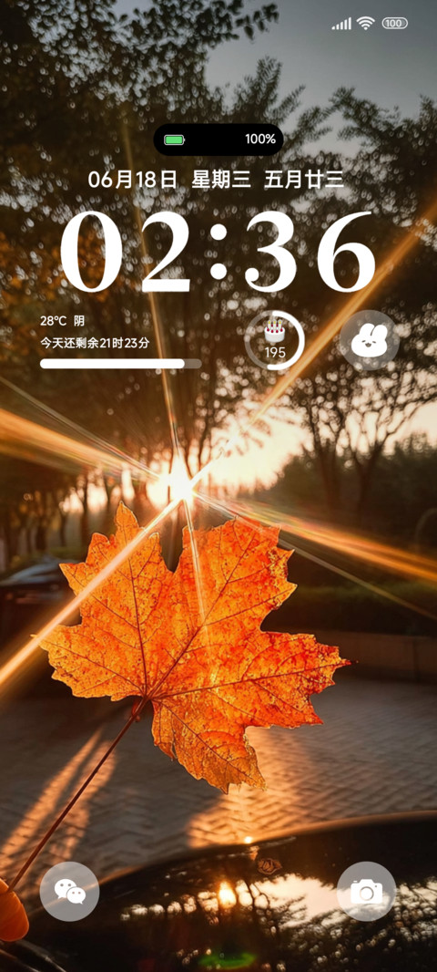 枫的思念ins screenshot