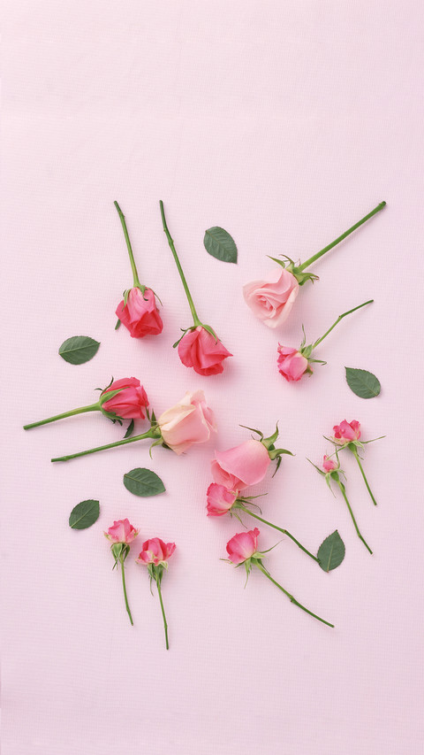 The meaning of different colored roses 91 screenshot
