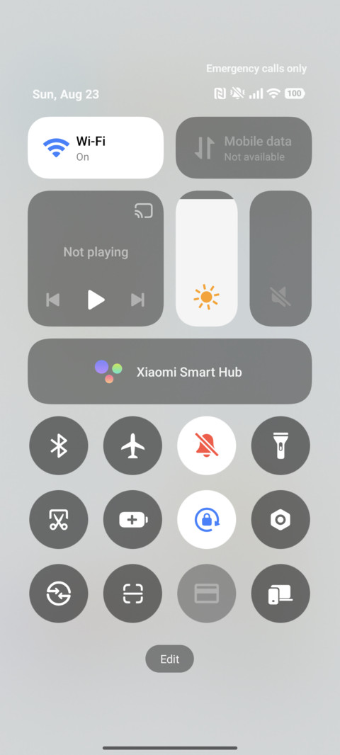 Cutie Flower Gift screenshot