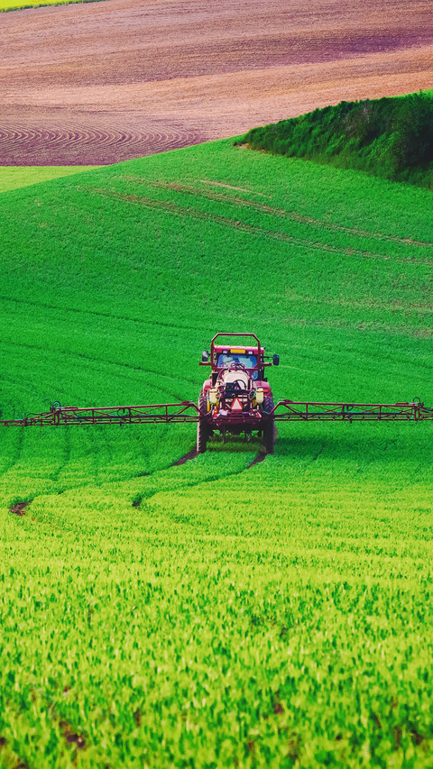 Beautiful view of the farmland screenshot