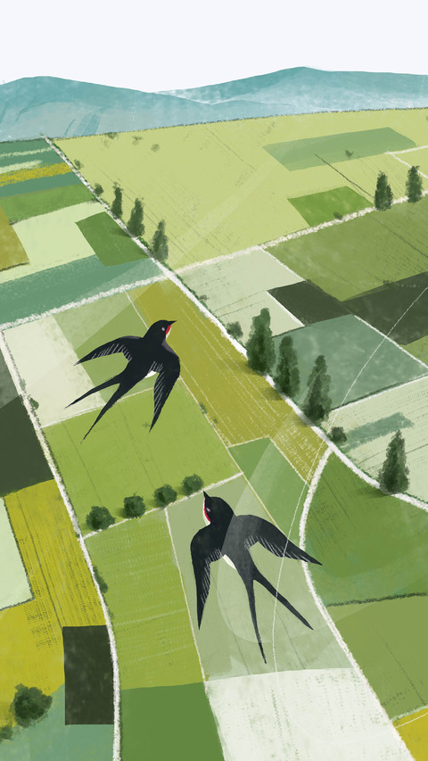 Spring Domestic Travel Recommendation 7 screenshot