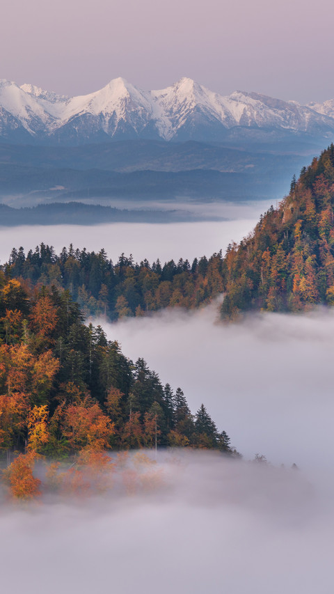 Landscape screenshot