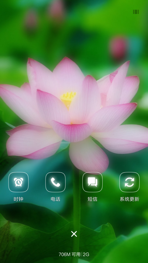 护眼荷花 screenshot