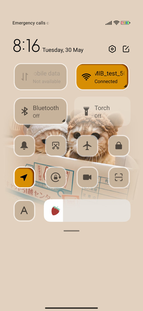 Baby dried fish screenshot