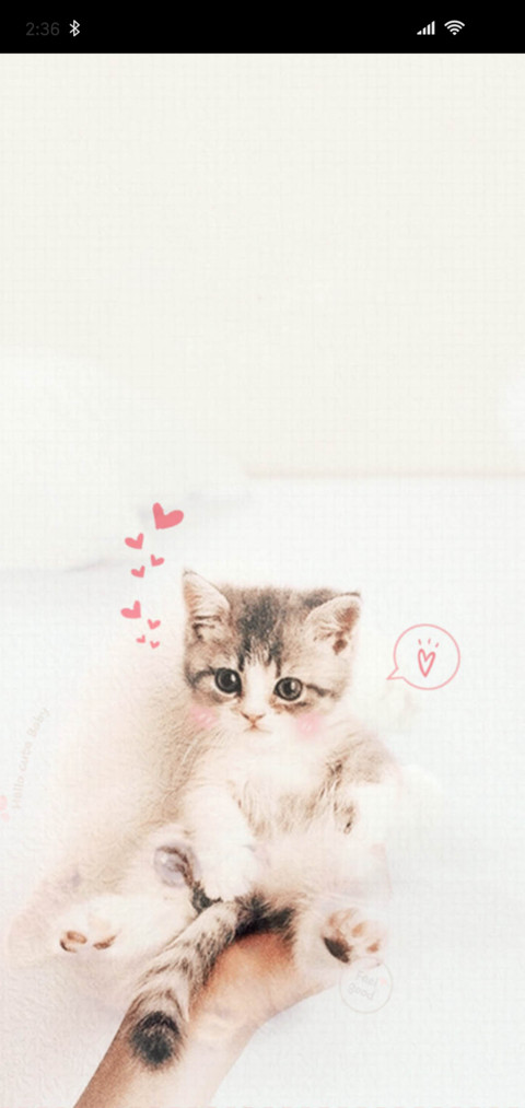 小猫咪 screenshot