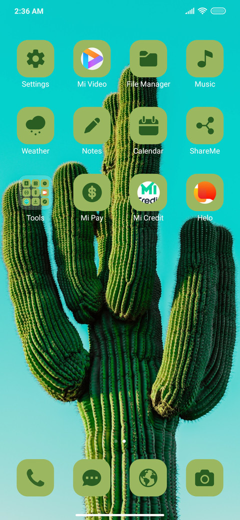 Plant Cactus screenshot