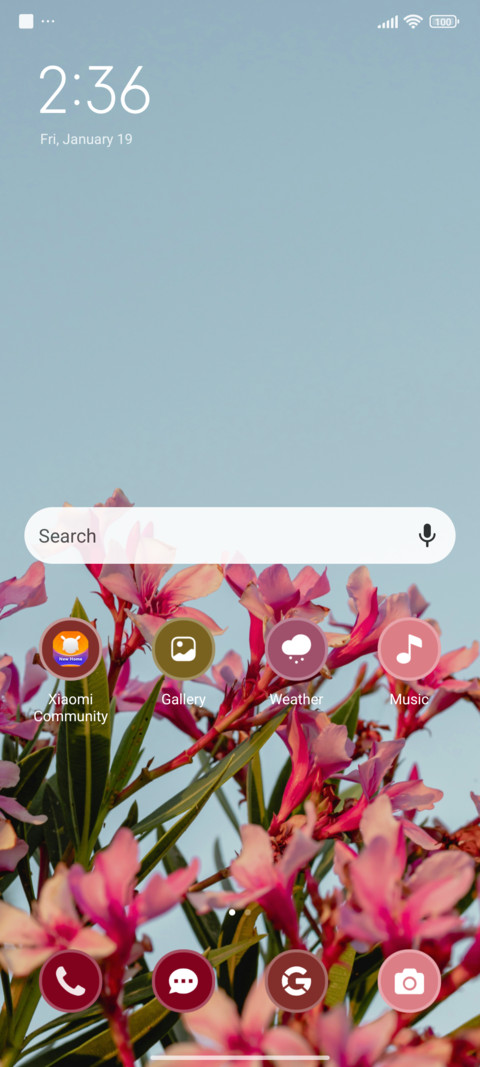 Floral Blue screenshot