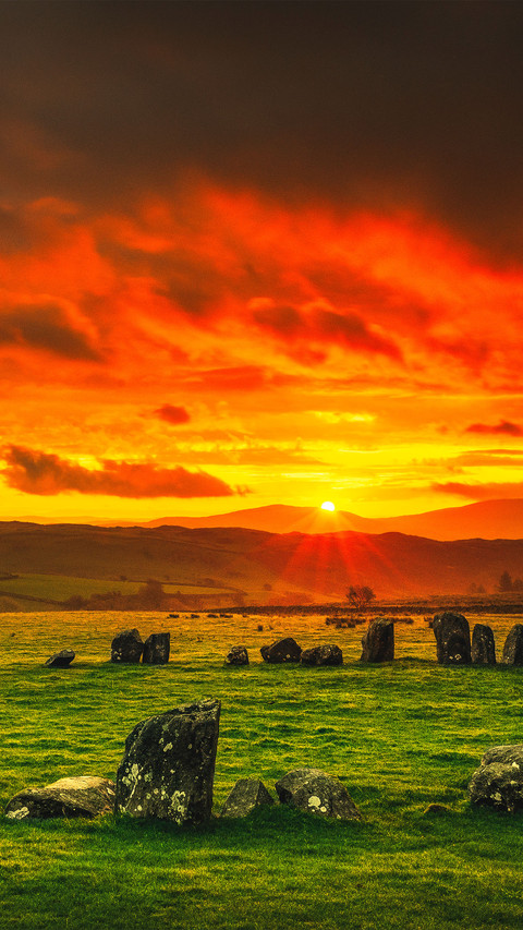 Field scenery screenshot