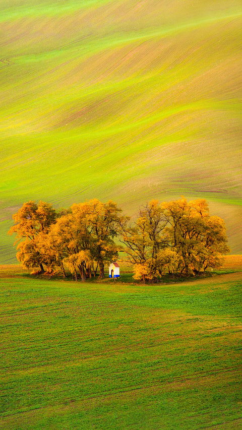 The Chapel St. Barbara on South Moravian Fields screenshot